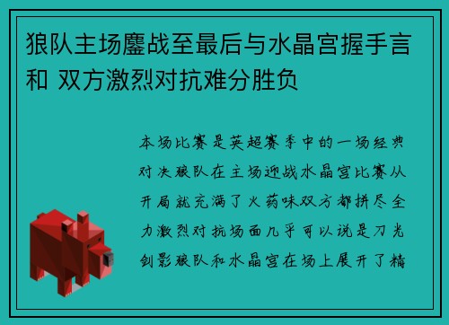 狼队主场鏖战至最后与水晶宫握手言和 双方激烈对抗难分胜负